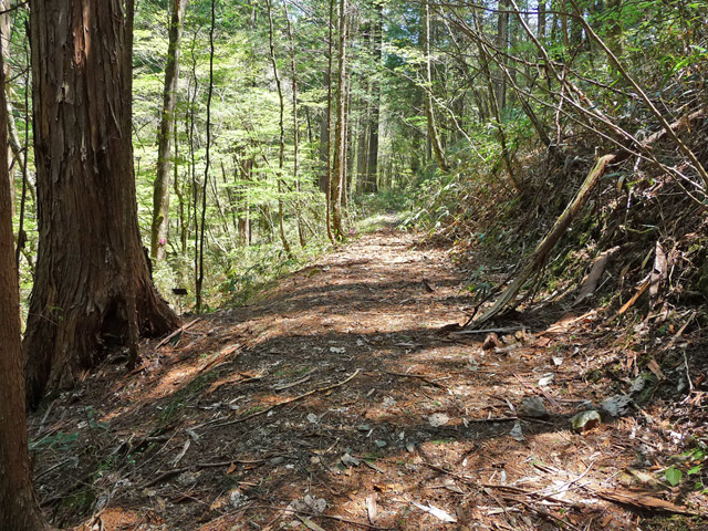 �ؑ]�X�ѓS��,�ѓS,�p����,���ґ��ƋO��,�q�m�L���,���ː썑�L��,���ꑺ