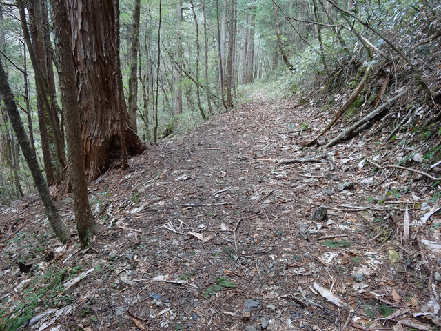 �ؑ]�X�ѓS��,�ѓS,�p����,���ґ��ƋO��,����̐X,���ː썑�L��,���ꑺ