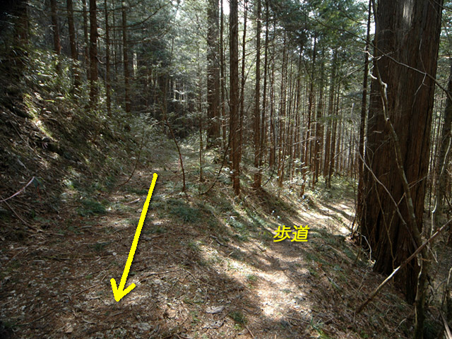 �ؑ]�X�ѓS��,�ѓS,�p����,���ґ��ƋO��,����̐X,���ː썑�L��,�U���H