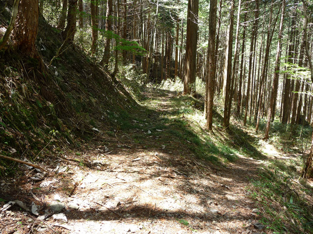 �ؑ]�X�ѓS��,�ѓS,�p����,���ґ��ƋO��,����̐X,���ː썑�L��,�U���H