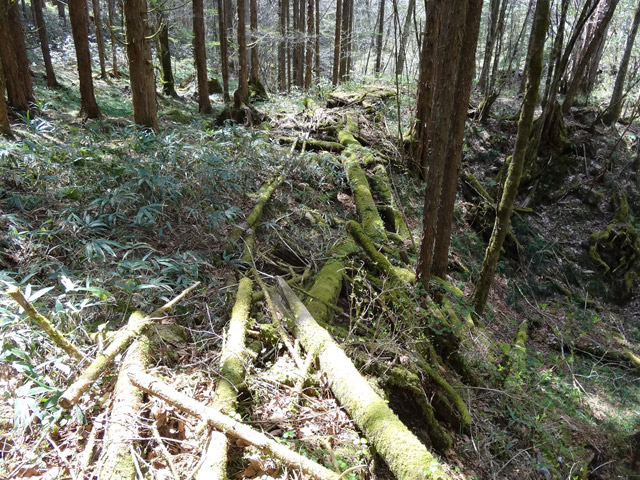 �X�ѓS��,�ѓS,�p����,���ґ��Ɛ�,�V��,�包,�؋�