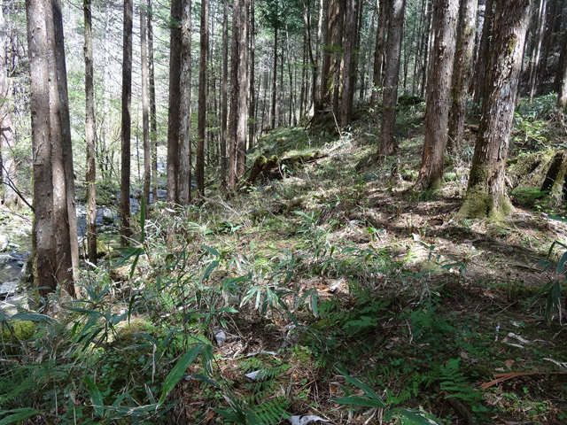 �X�ѓS��,�ѓS,�p����,���ґ��ƋO��,�V��,�؋�,���ː�