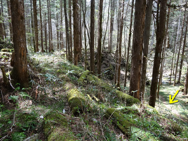 �X�ѓS��,�ѓS,�p����,���ґ��ƋO��,�V��,�؋�,����