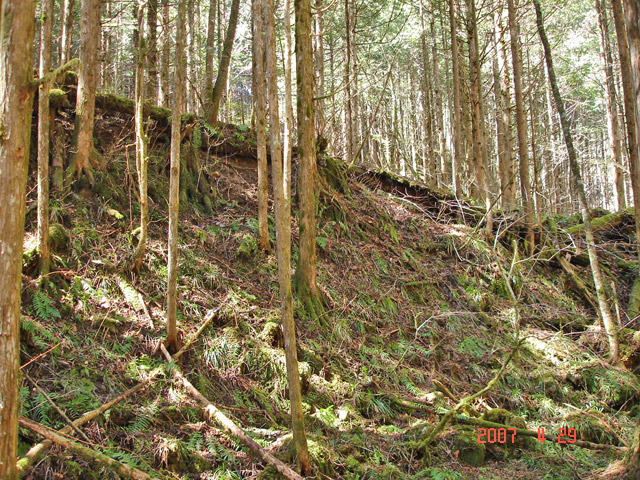 �X�ѓS��,�ѓS,�p����,���ґ��ƋO��,�V��,�؋�,����