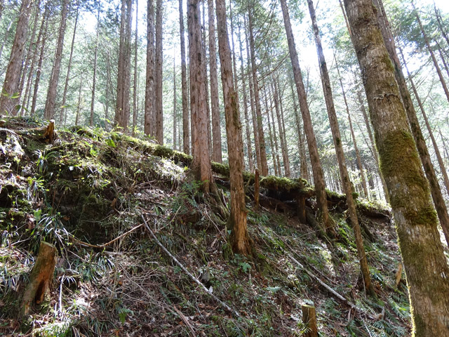 �X�ѓS��,�ѓS,�p����,���ґ��ƋO��,�V��,�؋�,����