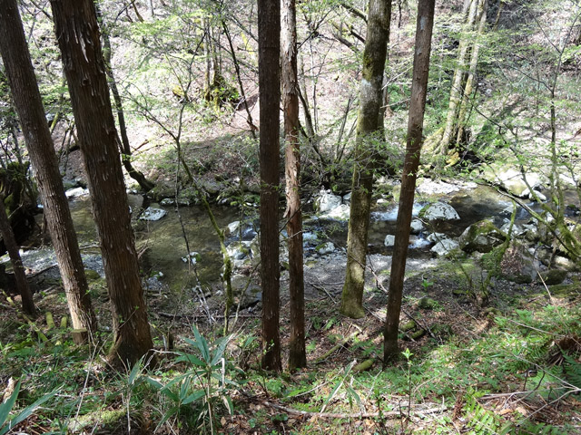 �X�ѓS��,�ѓS,�p����,���ґ��ƋO��,���ː�,�k��,�ؑ]�X�ъǗ���