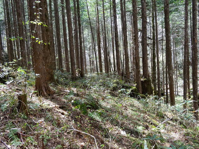 �X�ѓS��,�ѓS,�p����,���ґ��ƋO��,�V��,�؋�,�ؑ]�X�ъǗ���