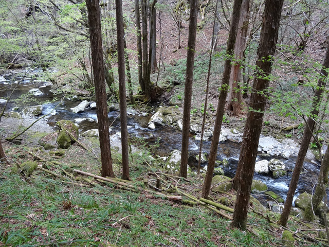 �X�ѓS��,�ѓS,�p����,���ґ��ƋO��,���ː�,�k��,�ؑ]�X�ъǗ���