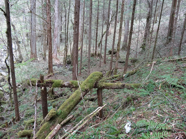 �ؑ]�X�ѓS��,�ѓS,�p����,���ґ��ƋO��,�V��,�؋�,�包