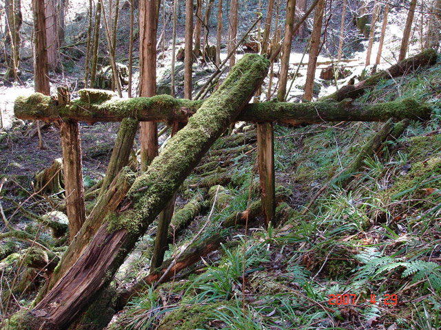 �ؑ]�X�ѓS��,�ѓS,�p����,���ґ��ƋO��,�V��,�؋�,�،�