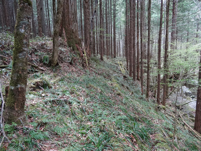 �ؑ]�X�ѓS��,�ѓS,�p����,���ґ��ƋO��,�V��,�؋�,���ː�