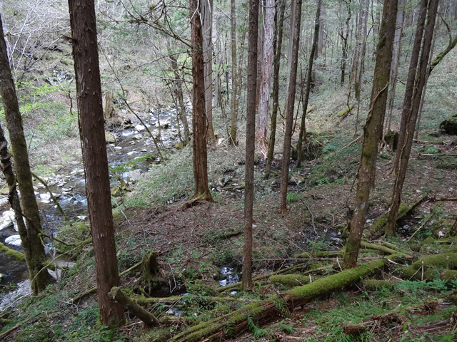 �ؑ]�X�ѓS��,�ѓS,�p����,���ґ��ƋO��,�V��,�؋�,�k��