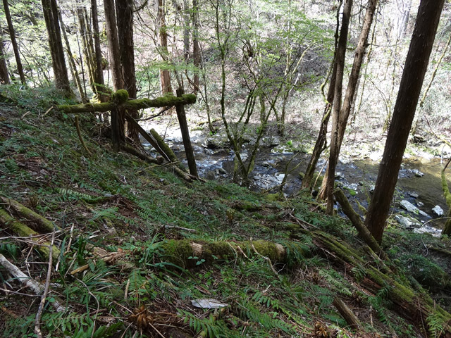 �ؑ]�X�ѓS��,�ѓS,�p����,���ґ��ƋO��,�V��,�؋�,���ː�