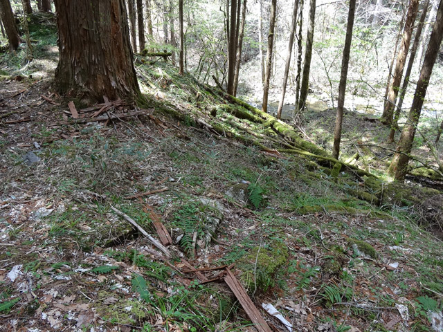 �ؑ]�X�ѓS��,�ѓS,�p����,���ґ��ƋO��,����,�H��,�w�A�s���J�[�u