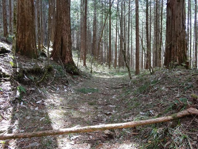 �ؑ]�X�ѓS��,�ѓS,�p����,���ґ��ƋO��,����,�H��,�w�A�s���J�[�u