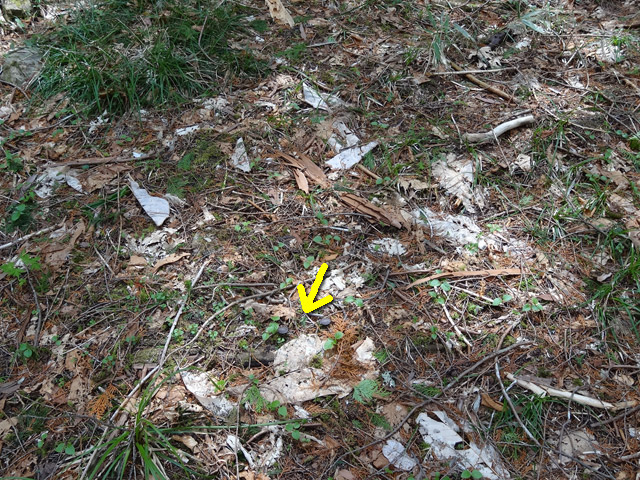 �ؑ]�X�ѓS��,�ѓS,�p����,���ґ��ƋO��,����,�H��,����,���B