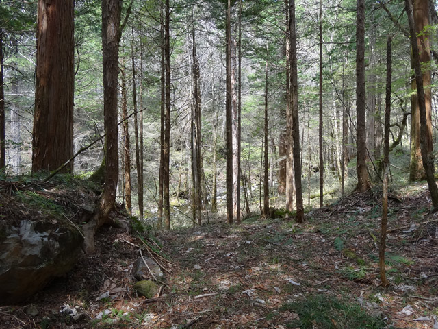 �ؑ]�X�ѓS��,�ѓS,�p����,���ґ��ƋO��,����,�H��,�w�A�s���J�[�u