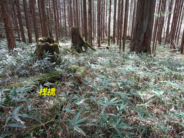 �ؑ]�X�ѓS��,�ѓS,�p����,���ґ��Ɛ�,�V��,�؋�,�؂芔