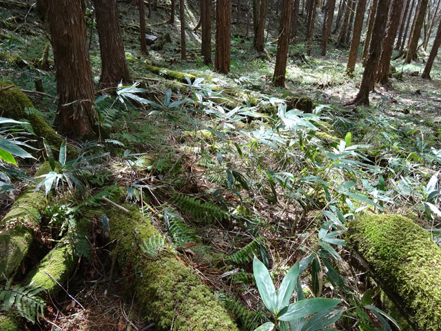 �ؑ]�X�ѓS��,�ѓS,�p����,���ґ��Ɛ�,�V��,�؋�,����c�ы�