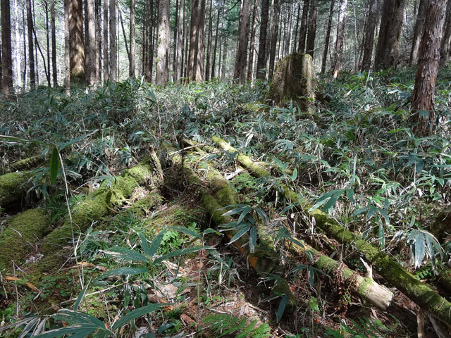 �X�ѓS��,�ѓS,�p����,���ґ��Ɛ�,�V��,�؋�,�ؑ]�X�ъǗ���