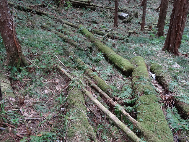 �X�ѓS��,�ѓS,�p����,���ґ��Ɛ�,�V��,�؋�,���ː�