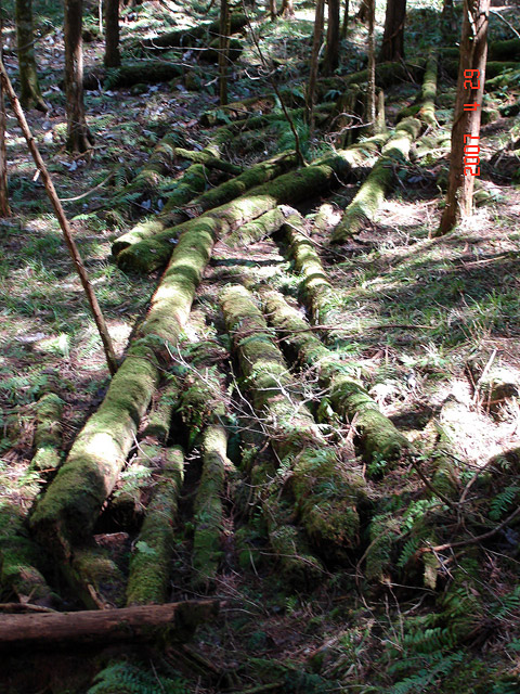 �X�ѓS��,�ѓS,�p����,���ґ��Ɛ�,�V��,�؍މ^���O����,��\