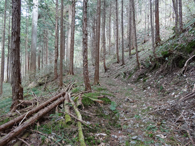 �ؑ]�X�ѓS��,�ѓS,�p����,���ґ��ƋO��,����,�H��,���ꑺ