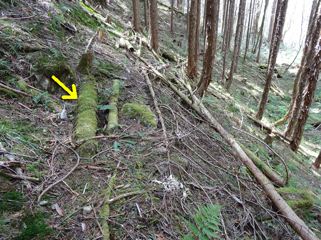 �X�ѓS��,�ѓS,�p����,���ґ��Ɛ�,�V��,�،�,�c�[,�x��