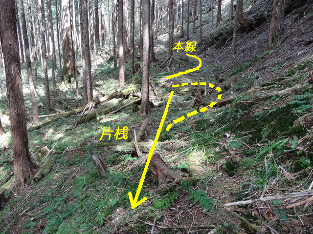 �ؑ]�X�ѓS��,�ѓS,�p����,���ґ��ƋO��,����,�x��,���`