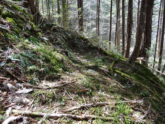 �ؑ]�X�ѓS��,�ѓS,�p����,���ґ��Ɛ�,�؍މ^���O����,�x��,�H��