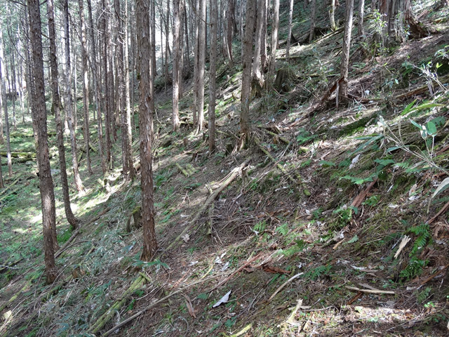 �ؑ]�X�ѓS��,�ѓS,�p����,���ґ��Ɛ�,�؍މ^���O����,�x��