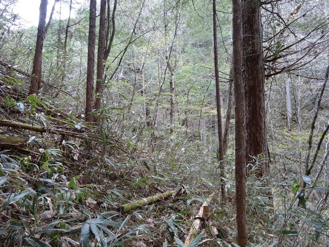 �ؑ]�X�ѓS��,�ѓS,�p����,���ґ��Ɛ�,�؍މ^���O����,���ꑺ