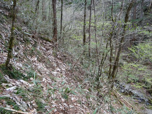 �ؑ]�X�ѓS��,�ѓS,�p����,�L�b�^�e���Ɛ�,�؍މ^���O����,�x��,����c�я�