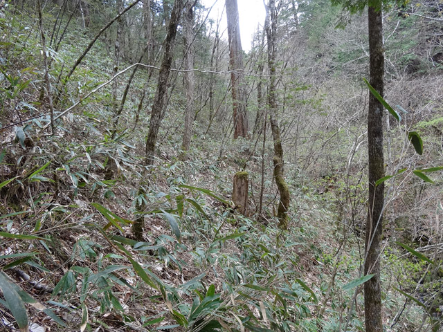 �ؑ]�X�ѓS��,�ѓS,�p����,�L�b�^�e���ƋO��,���ݐ�,�x��,�����H