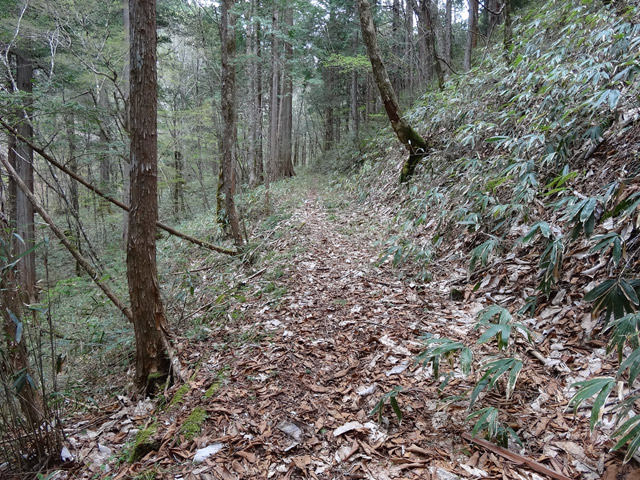 �X�ѓS��,�ѓS,�p����,��ƋO��,���ґ�,��Ɛ�,���ꑺ