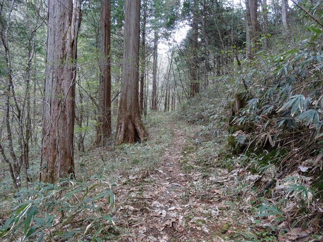 �X�ѓS��,�ѓS,�p����,��ƋO��,���ґ�,���ː�,���ꑺ