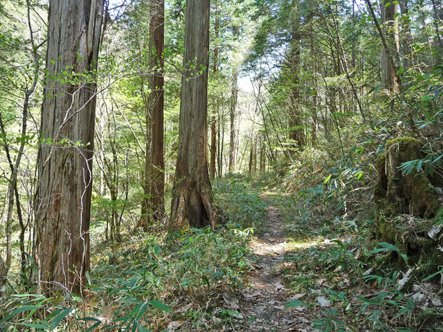 �X�ѓS��,�ѓS,�p����,��Ɛ�,���ґ�,����,���ꑺ