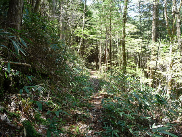 �X�ѓS��,�ѓS,�p����,��Ɛ�,���ґ�,�؍މ^���O����,���ꑺ