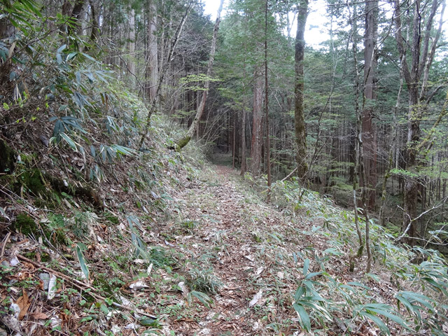 �X�ѓS��,�ѓS,�p����,��Ɛ�,���ґ�,�؍މ^���O����,�H��