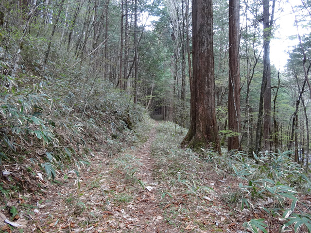 �X�ѓS��,�ѓS,�p����,��ƋO��,���ґ�,����c�я�,�ؑ]�Ђ̂�