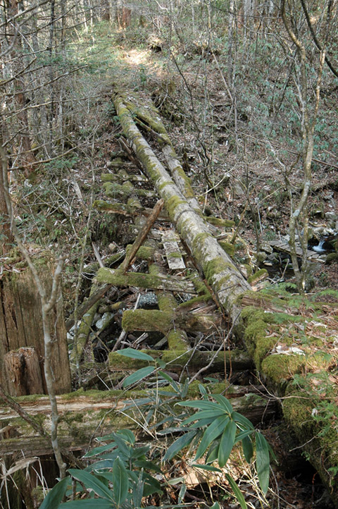 �X�ѓS��,�ѓS,�p����,���ґ��Ɛ�,�ؑ���,���P�h�u��,���ꑺ