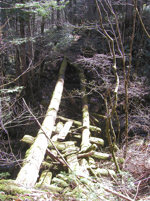 �X�ѓS��,�ѓS,�p����,���ґ��Ɛ�,�ؑ���,���P�h�u��,��r�ʐ^