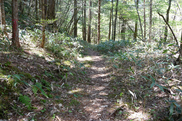 �X�ѓS��,�ѓS,�p����,���ґ��ƋO��,���ː�,���P�h�u��,����c�я�