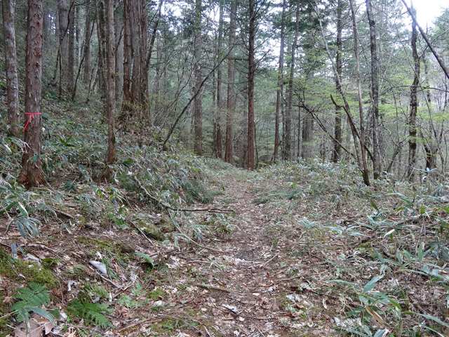 �X�ѓS��,�ѓS,�p����,���ґ��ƋO��,����,���P�h�u��,�ؑ]