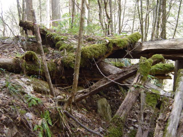 �ؑ]�X�ѓS��,�ѓS,�p����,���ґ��ƋO��,����,���P�h�u��,�؋�