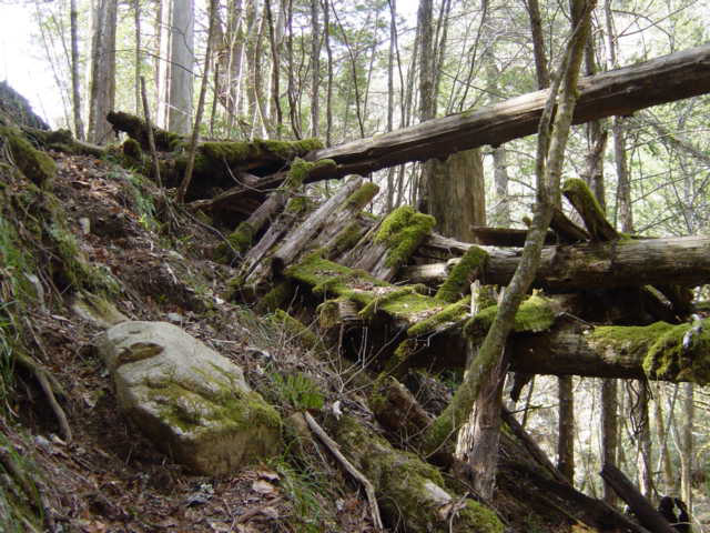 �ؑ]�X�ѓS��,�ѓS,�p����,���ґ��Ɛ�,����,���P�h�u��,�ؑ���