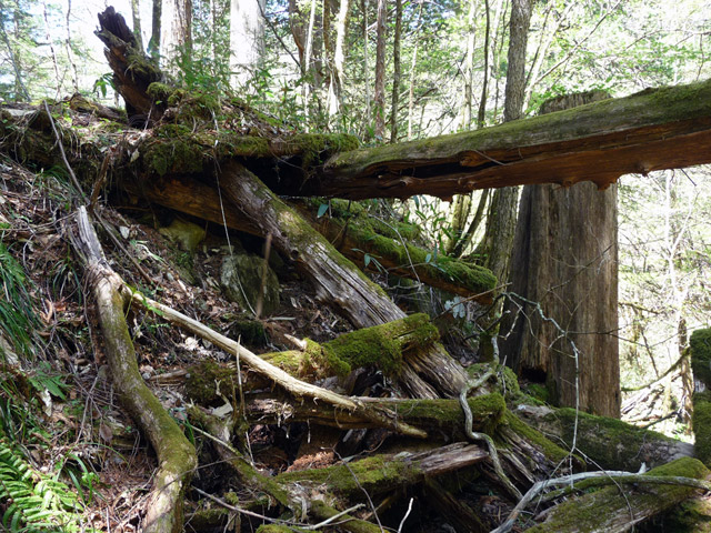 �ؑ]�X�ѓS��,�ѓS,�p����,���ґ��Ɛ�,����,���P�h�u��,�ؑ���