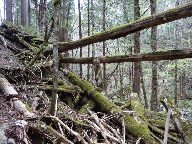 �ؑ]�X�ѓS��,�ѓS,�p����,���ґ��Ɛ�,����,���P�h�u��,�ؑ���