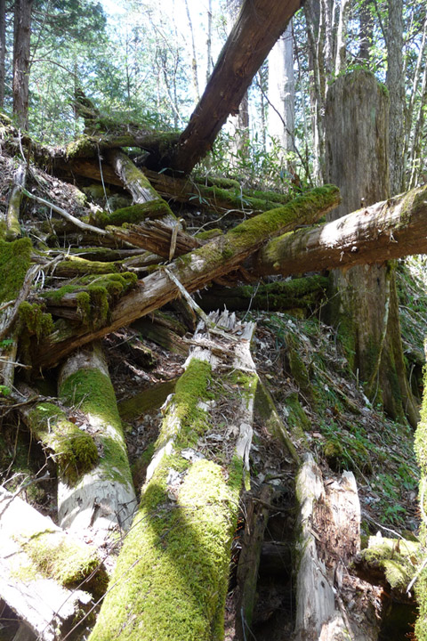 �X�ѓS��,�ѓS,�p����,���ґ��ƋO��,�V��,���ː�,�؋�,����c�я�