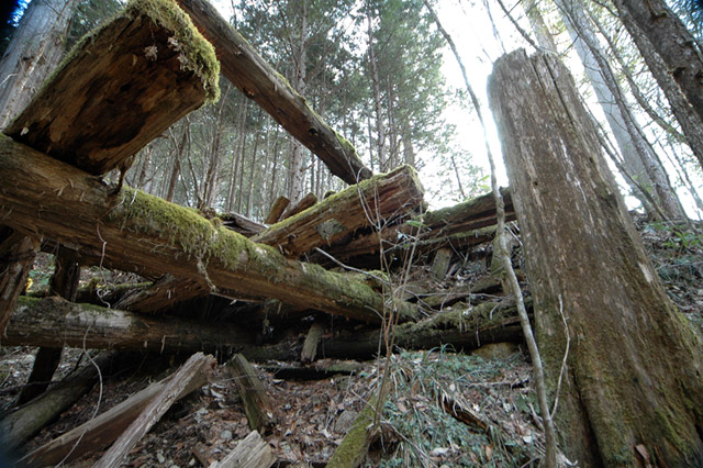 �ؑ]�X�ѓS��,�ѓS,�p����,���ґ��Ɛ�,����,���P�h�u��,�ؑ���